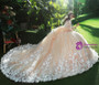 Champagne Ball Gown Tulle Appliques Long Sleeve Backless Wedding Dress
