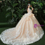Champagne Ball Gown Tulle Appliques Long Sleeve Backless Wedding Dress