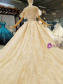 Champagne Tulle Sequins Bateau Neck Backless Long Train Wedding Dresses