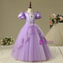 In Stock:Ship in 48 Hours Sophia Princess Purple Tulle Skirt Girl