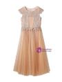 In Stock:Ship in 48 Hours Champagne Tulle Appliques Ankle Length Girl Dress