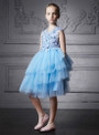 In Stock:Ship in 48 Hours Blue Tulle Appliques Knee Length Girl Dress