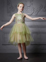In Stock:Ship in 48 Hours Green Tulle Appliques With Coat Girl Dress