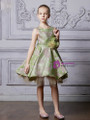 In Stock:Ship in 48 Hours Green Tulle Knee Length Girl Dress