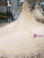 Champagne Ball Gown Tulle High Neck Backless With Beading Wedding Dress