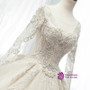 Light Champagne Tulle Appliques Long Sleeve Backless Beading Wedding Dress