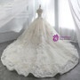 Champagne Ball Gown Tulle Appliques With Beading Off The Shoulder Wedding Dress