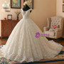 Light Champagne Ball Gown V-neck Backless Lace Wedding Dress