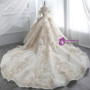 Ball Gown Champagne Tulle Gold Lace Appliques Ruff Sleeve Wedding Dress