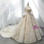 Ball Gown Champagne Tulle Gold Lace Appliques Ruff Sleeve Wedding Dress