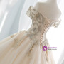 Champagne Ball Gown Tulle Off The Shoulder Appliques Wedding Dress