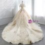 Champagne Ball Gown Tulle Off The Shoulder Appliques Wedding Dress