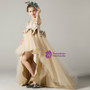 Champagne Tulle Satin Hi Lo Appliques Flower Girl Dress