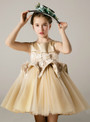 Champagne Tulle Satin Appliques Short Flower Girl Dress