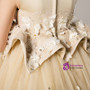 Champagne Tulle Satin Appliques Short Flower Girl Dress