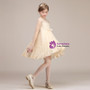A-Line Champagne Lace Short Knee Length Flower Girl Dress