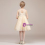 A-Line Champagne Lace Short Knee Length Flower Girl Dress