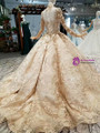 Champagne Ball Gown Tulle Long Sleeve Sequins Appliques Wedding Dress