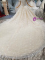 Champagne Ball Gown Strapless Sequins Tulle With Beading Wedding Dress