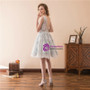 A-Line Gray Lace V-neck Backless Short Homecoming Dress