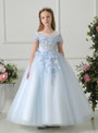 Blue Sweet Tulle Appliques Cap Sleeve Flower Girl Dress