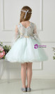Light Green Tulle V-neck Long Sleeve Appliques Mini Flower Girl Dress