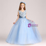 A-Line Blue Tulle V-neck Appliques Floor Length Flower Girl Dress