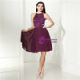 Purple Chiffon Lace Halter Backless Short Homecoming Dress
