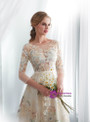 Simple Champagne Tulle 3/4 Sleeve Print Floor Length Wedding Dress