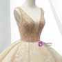 Champagne Ball Gown Lace Tulle Sequins V-neck Backless Wedding Dress