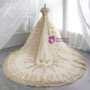 Champagne Ball Gown Tulle Gold Lace Appliques Wedding Dress