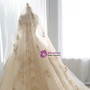 Champagne Ball Gown Tulle Gold Lace Appliques Wedding Dress