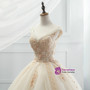 Champagne Tulle Ball Gown Off The Shoulder Appliques Wedding Dress