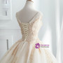 Champagne Tulle Ball Gown Off The Shoulder Appliques Wedding Dress