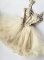 A-Line Champagne Tulle Straps Short Homecoming Dress
