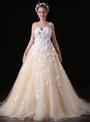 Champagne Tulle Sweetheart Neck Appliques Long Wedding Dress