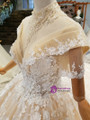 Luxury Champagne Ball Gown Appliques Backless With Sequins Wedding Dress