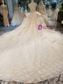 Champagne Tulle Lace Sequins Backless Long Train Wedding Dress