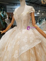 Champagne Tulle Lace Sequins Backless Long Train Wedding Dress
