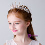 Girls Crown Tiara Crystal Rhinestone Hair Accessories
