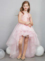 In Stock:Ship in 48 Hours Ready To Ship Hi Lo Tulle Appliques Girl Dress