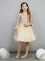 In Stock:Ship in 48 Hours Ready To Ship Champagne Tulle Appliques Girl Dress