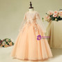 Orange Tulle Long Sleeve Appliques Long Flower Girl Dress
