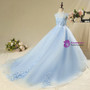 Blue Tulle Cap Sleeve Flowerr Girl Dress With Butterfly Appliques