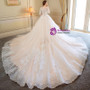 Champagne Tulle Appliques Short Sleeve Wedding Dress With Long Train