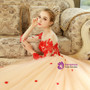 Champagne Ball Gown Tulle Red Appliques Long Sleeve Wedding Dress