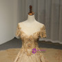 Champagne Tulle Embroidery Short Sleeve Backless Haute Couture Wedding Dress