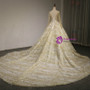 Ball Gown Tulle Gold Sequins Lace Long Sleeve Backless Wedding Dress With Long Train