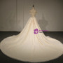 Champange Ball Gown Tulle Off The Shoulder Backless Wedding Dress