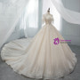 Champagne Ball Gown V-neck Tulle Sequins Appliques Backless Wedding Dress